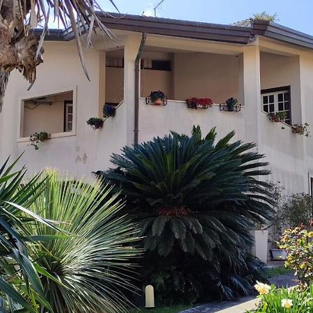 רגוזה B&B Villa Victoria מראה חיצוני תמונה