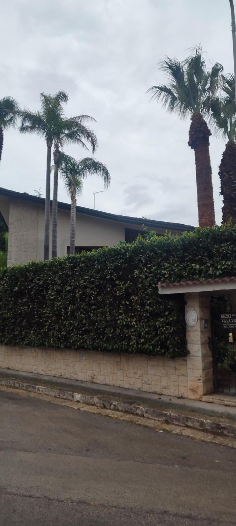 רגוזה B&B Villa Victoria מראה חיצוני תמונה