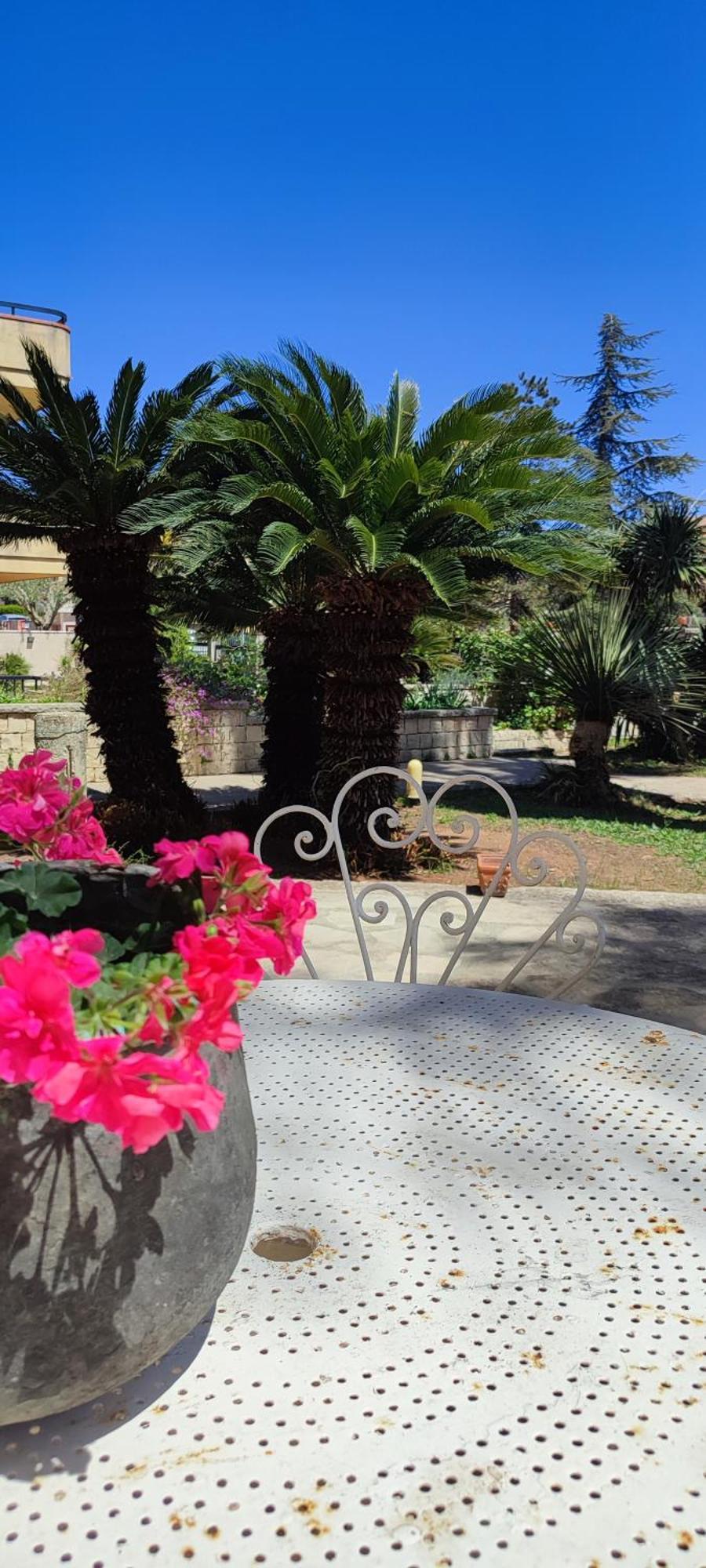 רגוזה B&B Villa Victoria מראה חיצוני תמונה