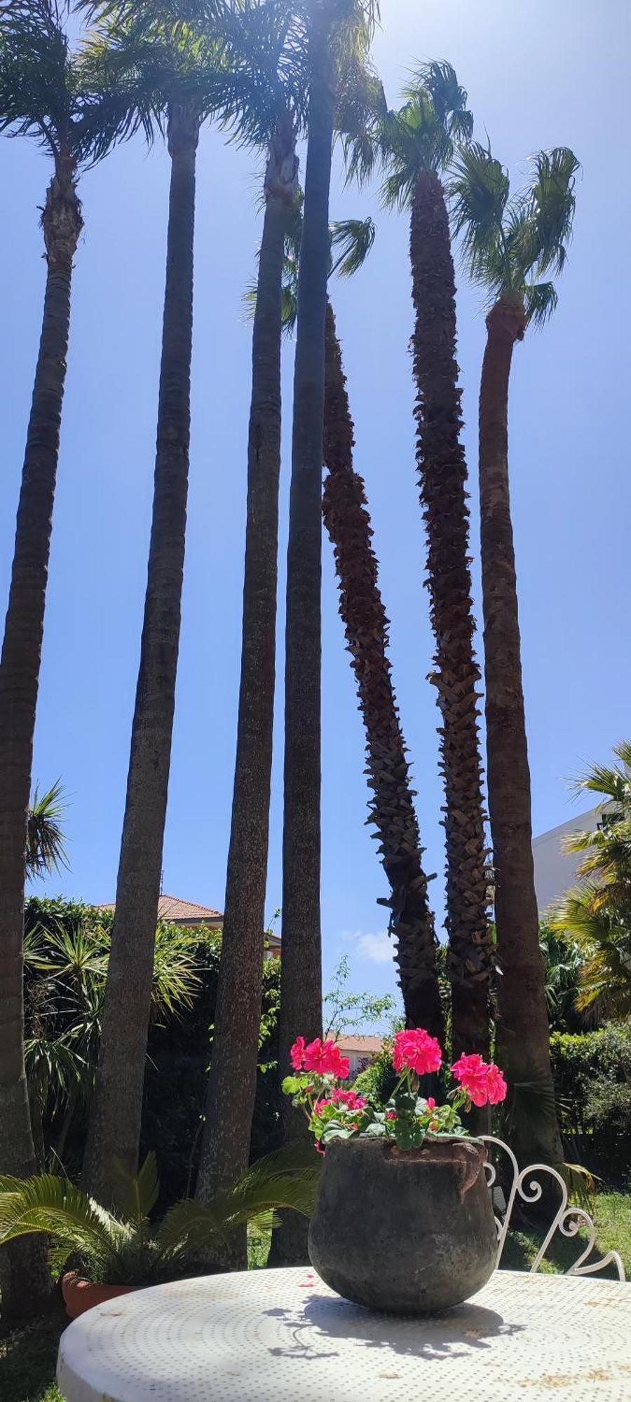 רגוזה B&B Villa Victoria מראה חיצוני תמונה