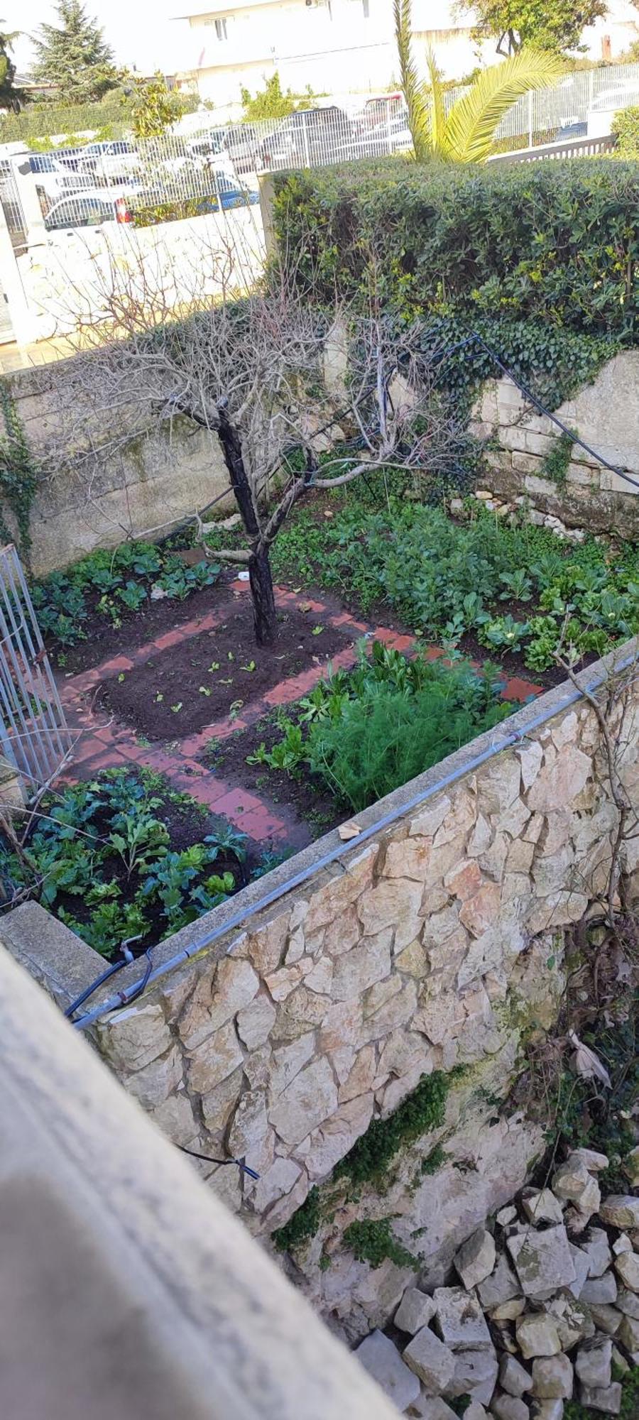 רגוזה B&B Villa Victoria מראה חיצוני תמונה