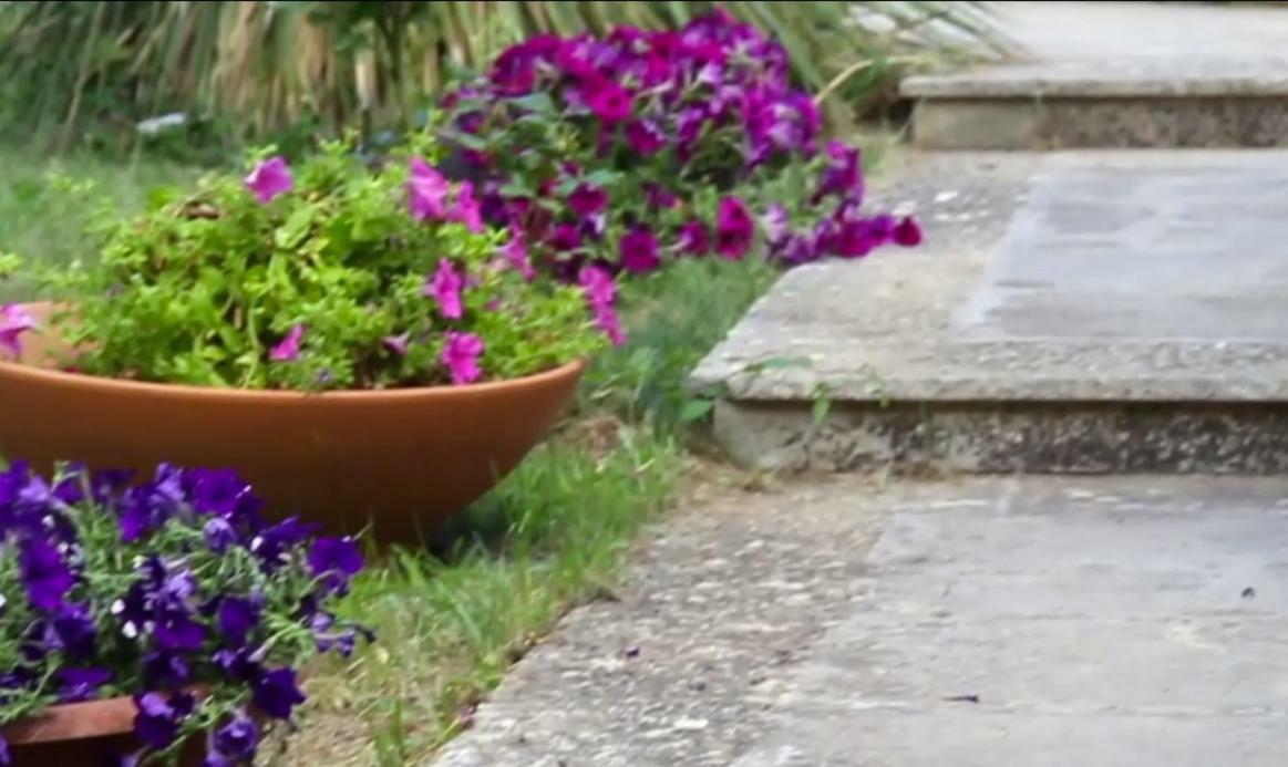 רגוזה B&B Villa Victoria מראה חיצוני תמונה