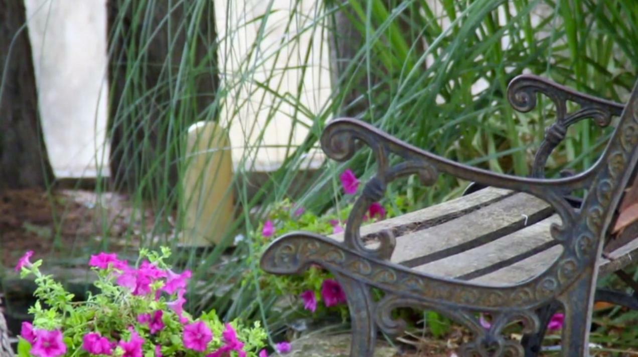 רגוזה B&B Villa Victoria מראה חיצוני תמונה